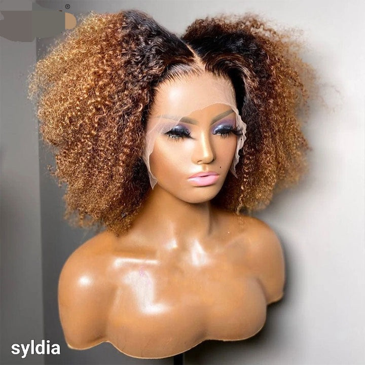 KINKY AFRO CURLY HONEY WIG