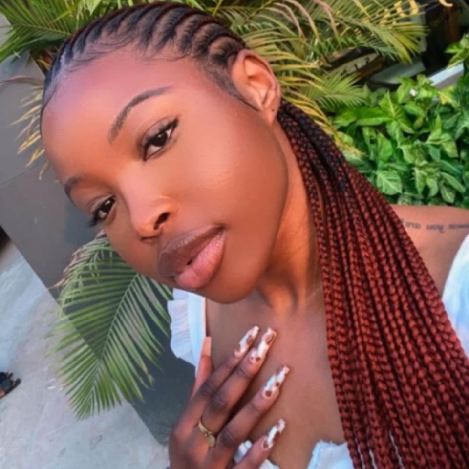 Plaited Braids Wig
