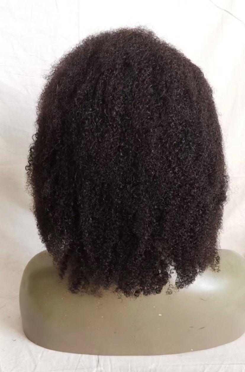Afro Curly Wig